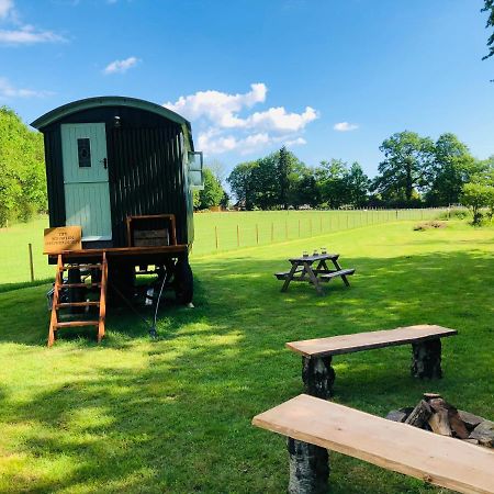 The Big Green Shepherds Hut Charlwood Eksteriør billede