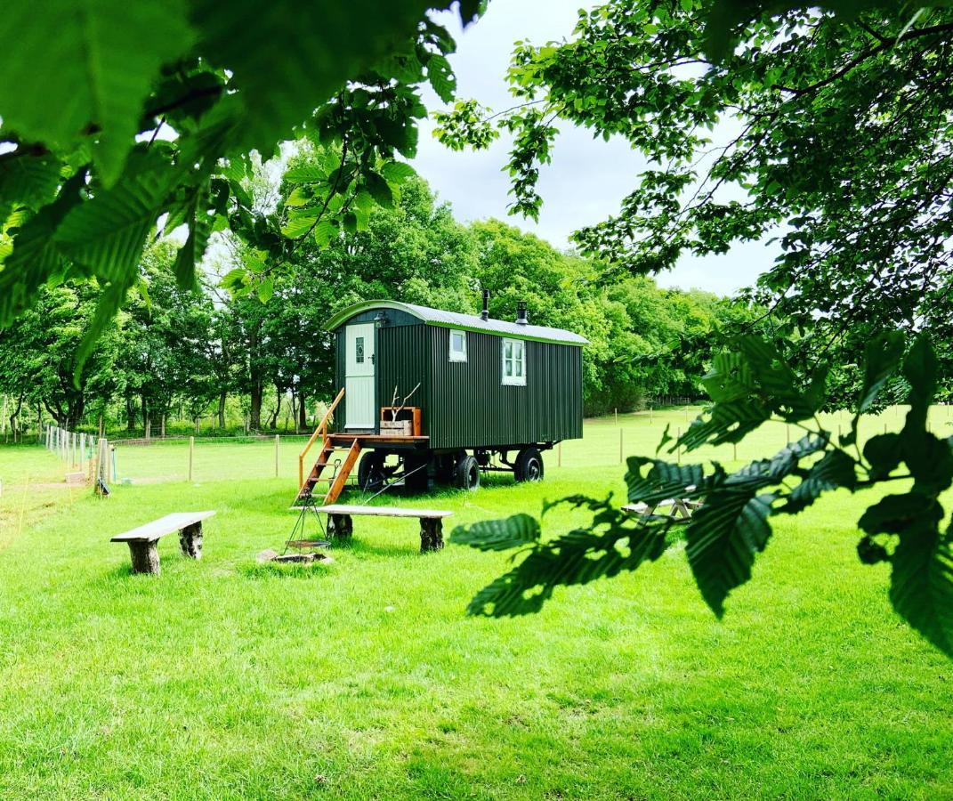 The Big Green Shepherds Hut Charlwood Eksteriør billede